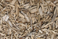 biomass boilers Poundstock